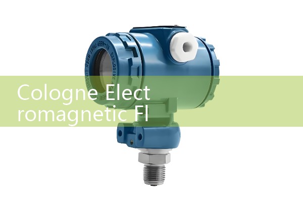 Cologne Electromagnetic Flow Meter Manual